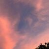 liliana_011618